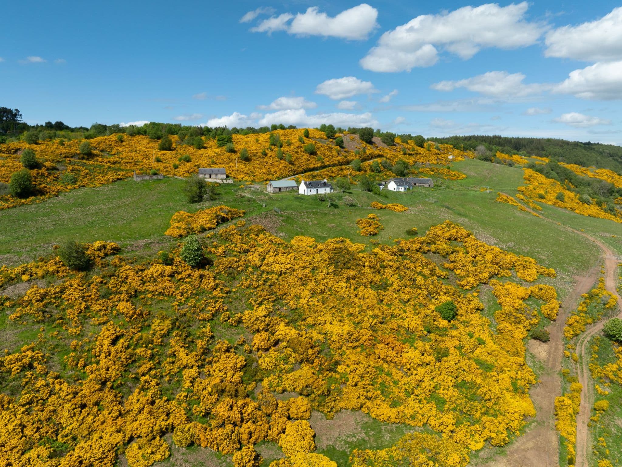 Aerial photography