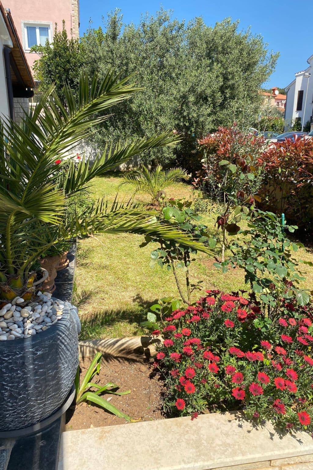 Gallery Image 21