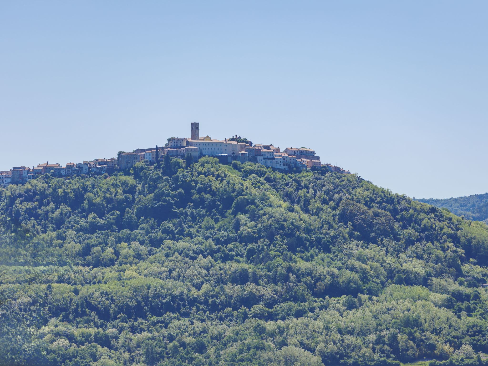 View