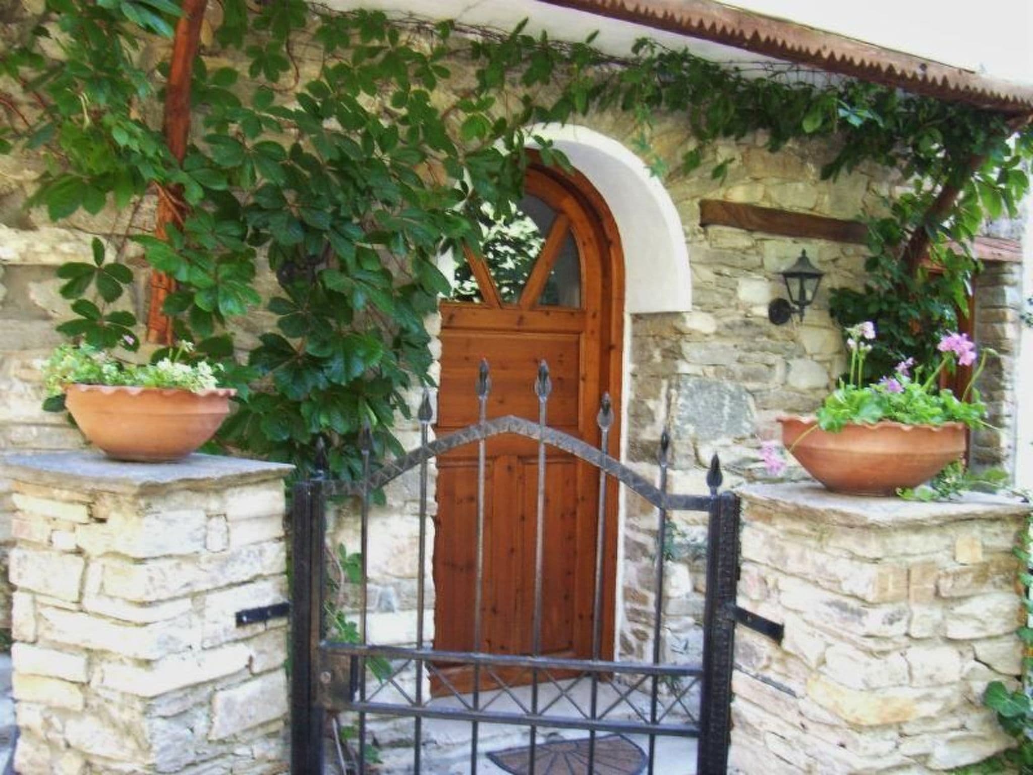 Gallery Image 24