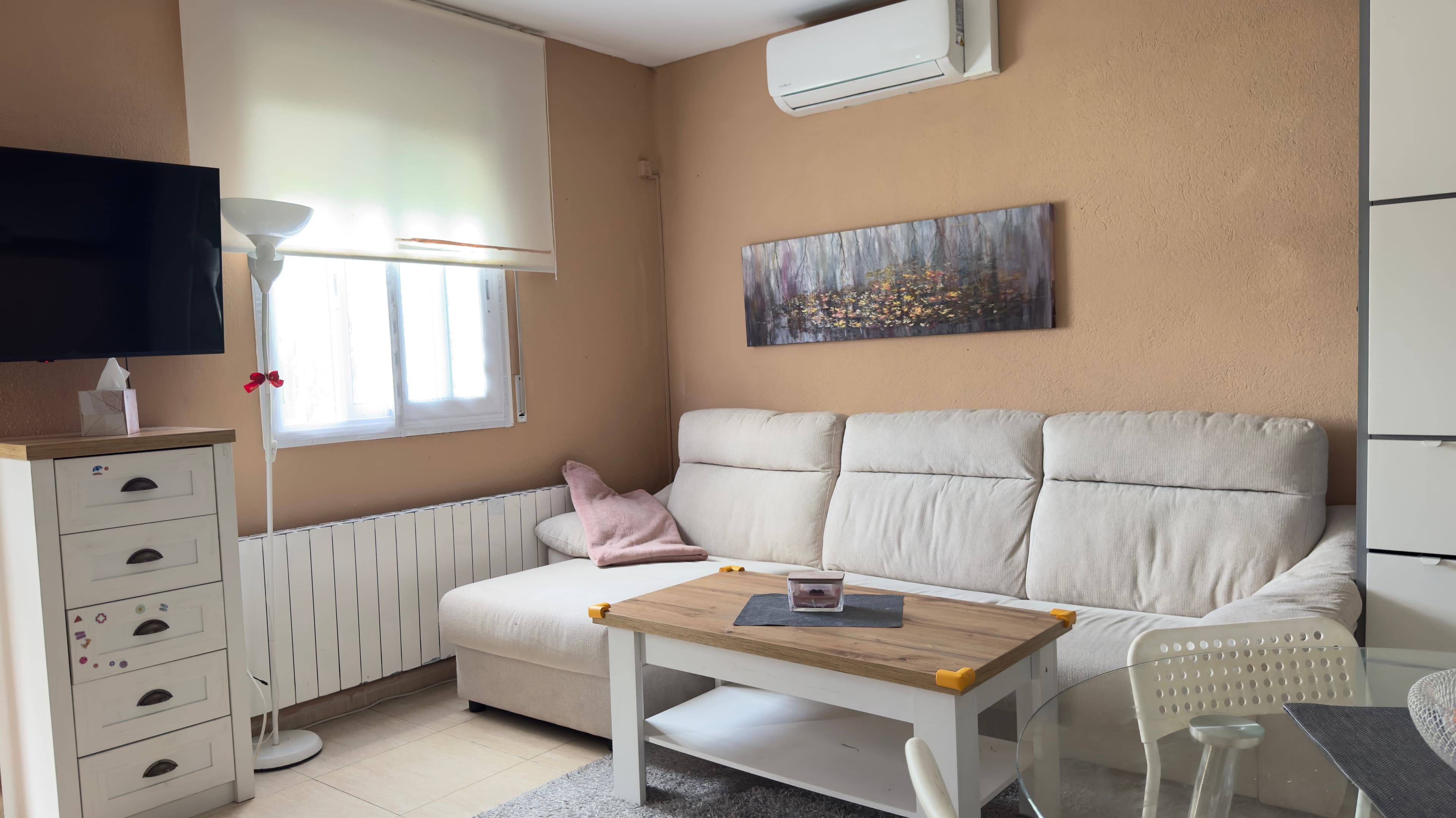 1BR appartment livingroom 2