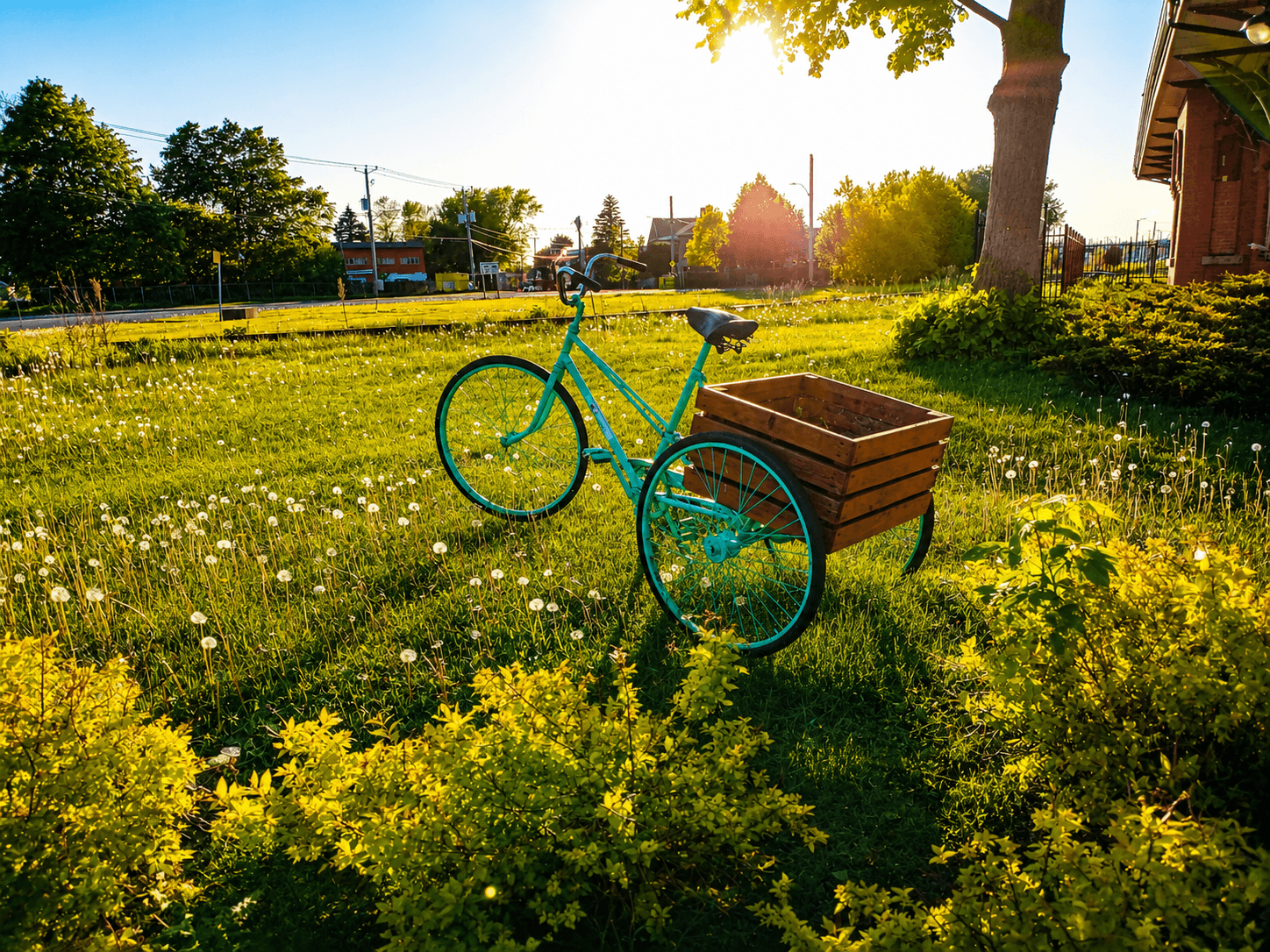 Tricycle 