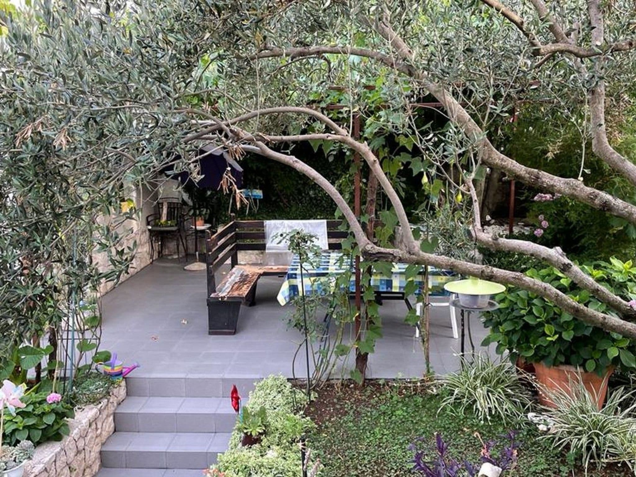 Gallery Image 10