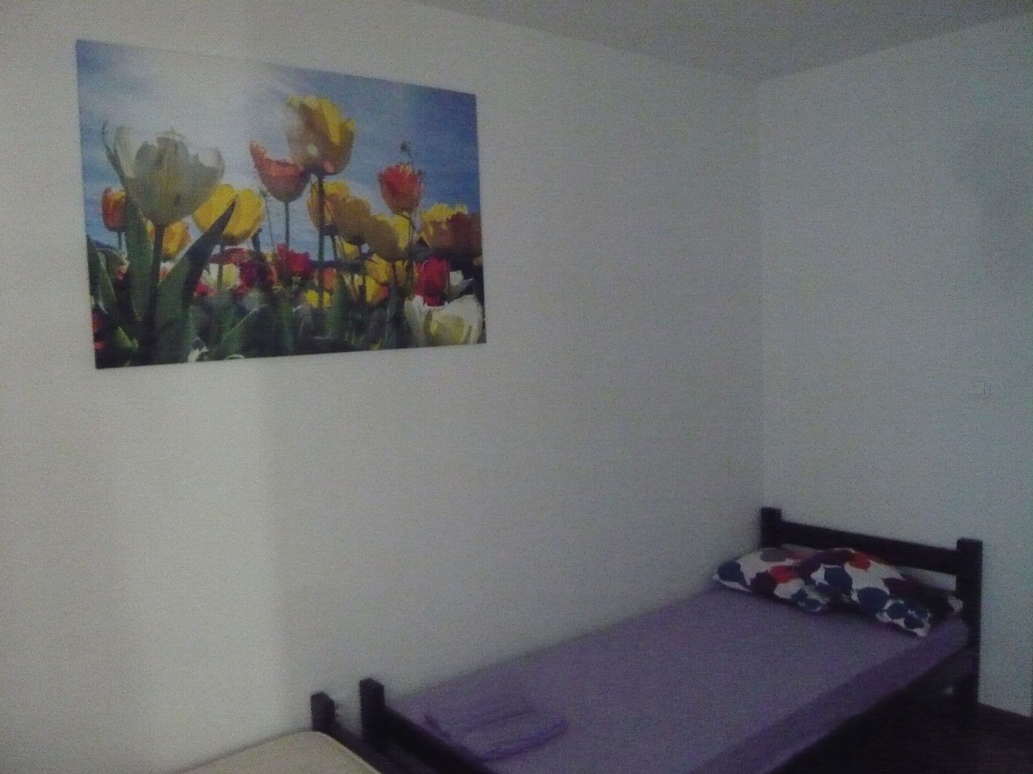 Gallery Image 17