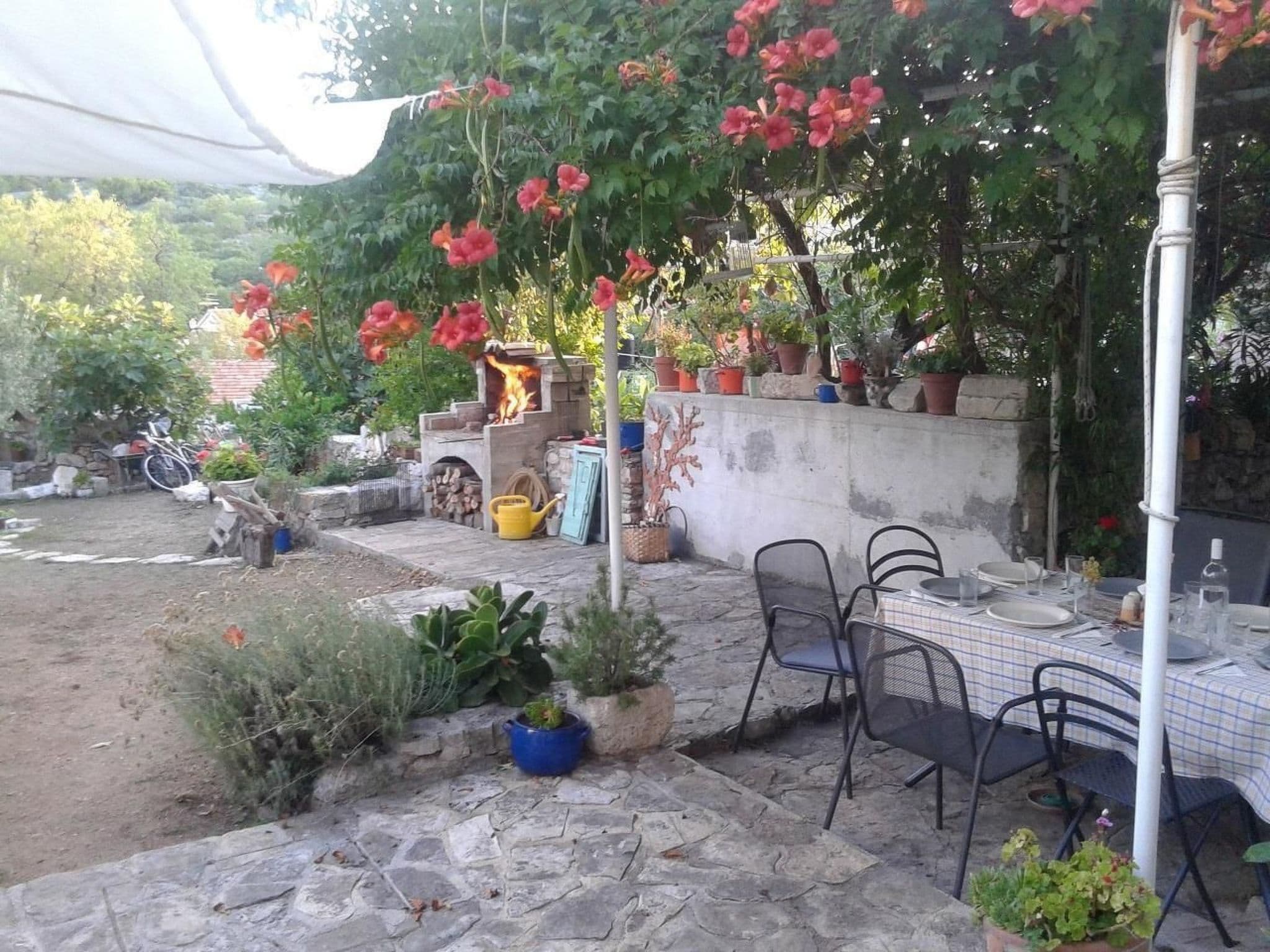Gallery Image 22