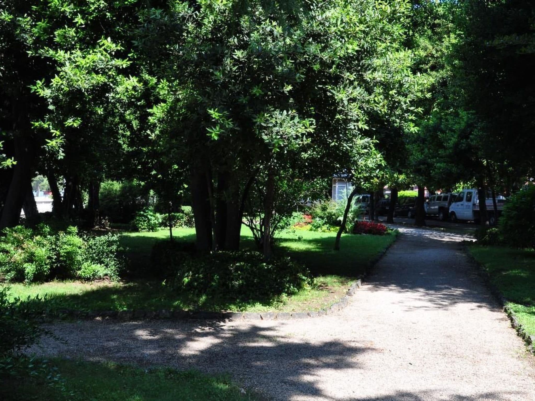 Gallery Image 11