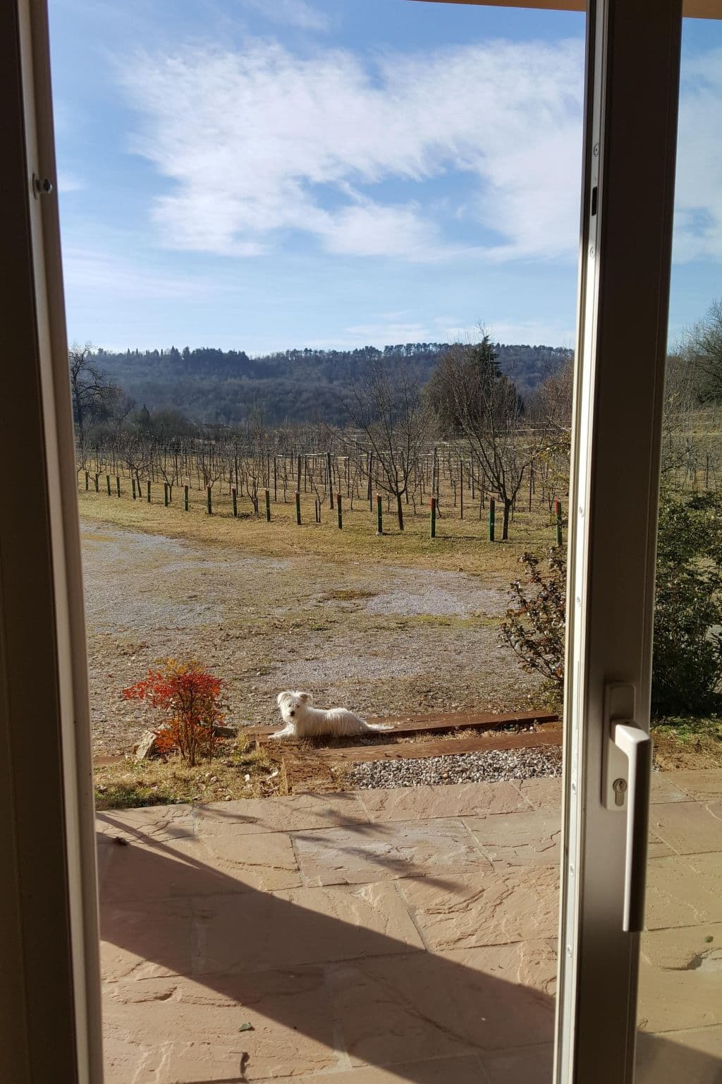 Gallery Image 30