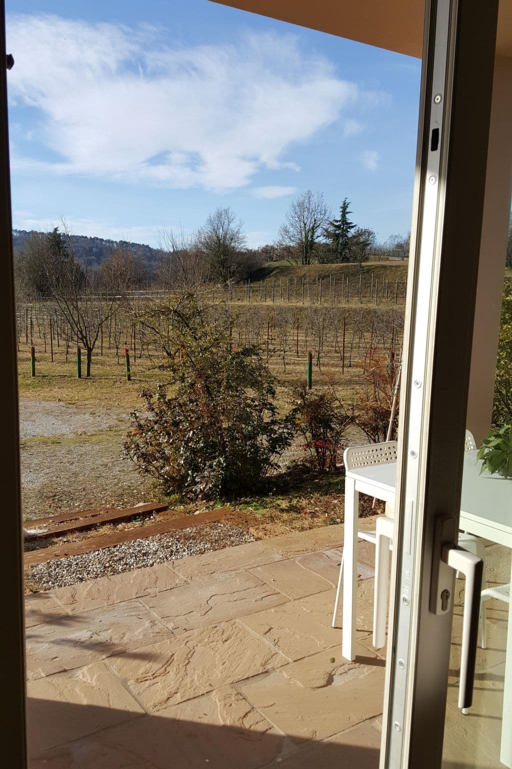 Gallery Image 31
