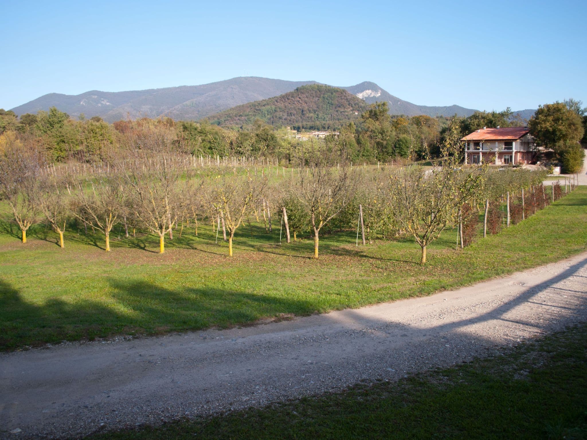 Gallery Image 35