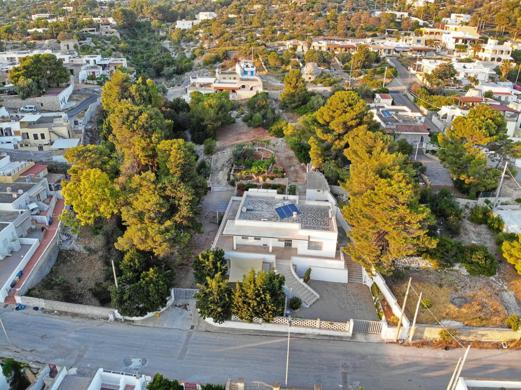 Aerial photography