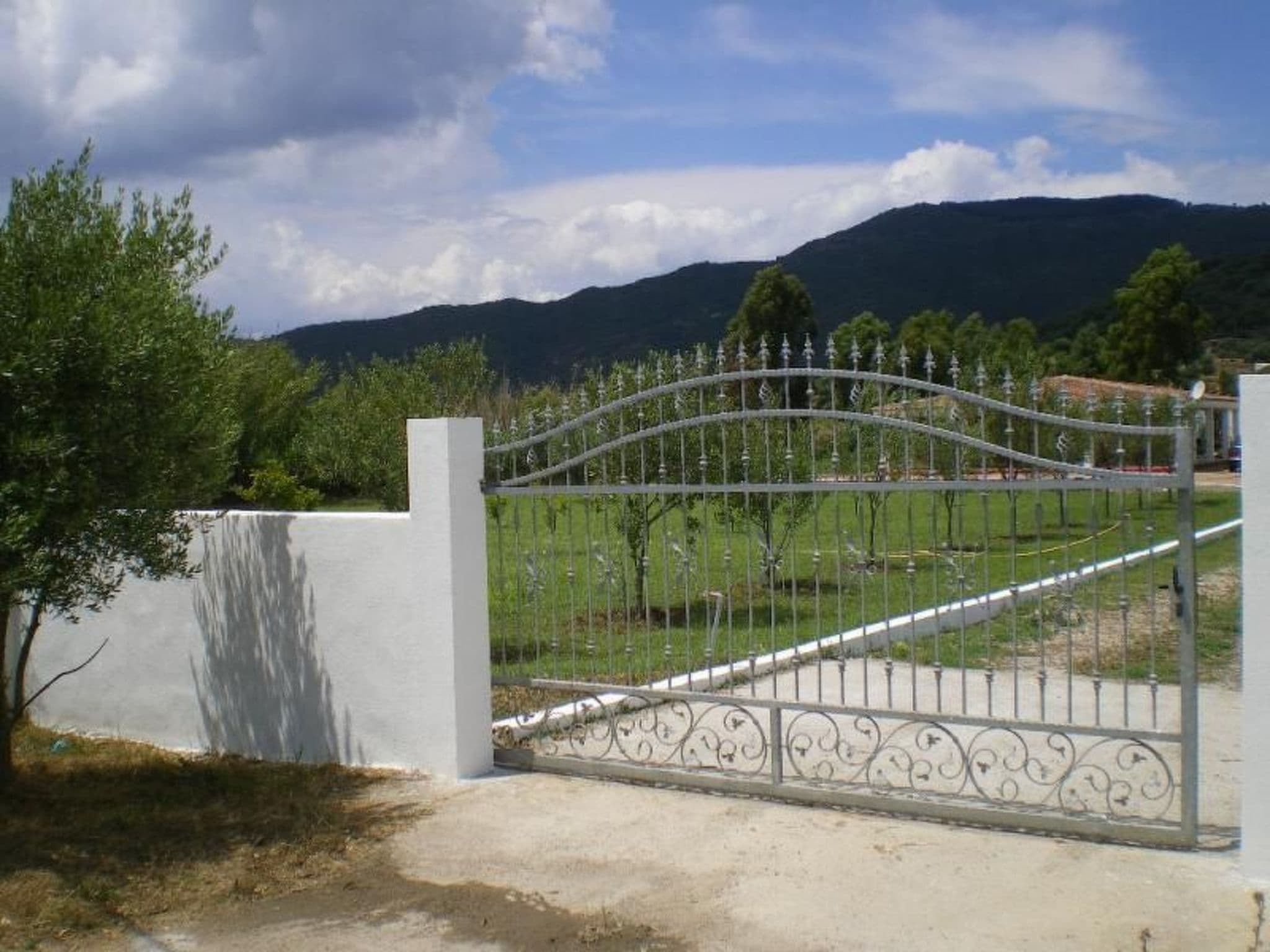 Gallery Image 12