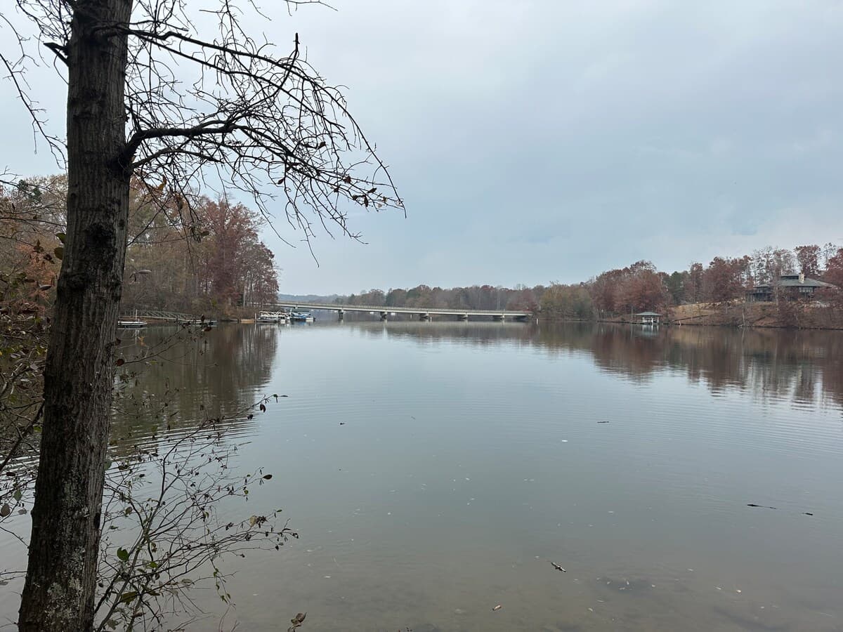 Lake Taylor Blalock in winter