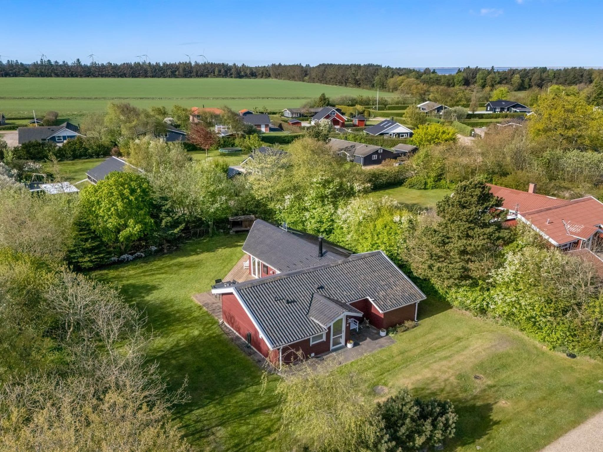 Aerial photography