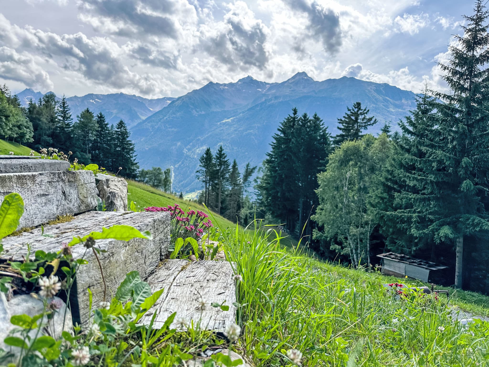 View