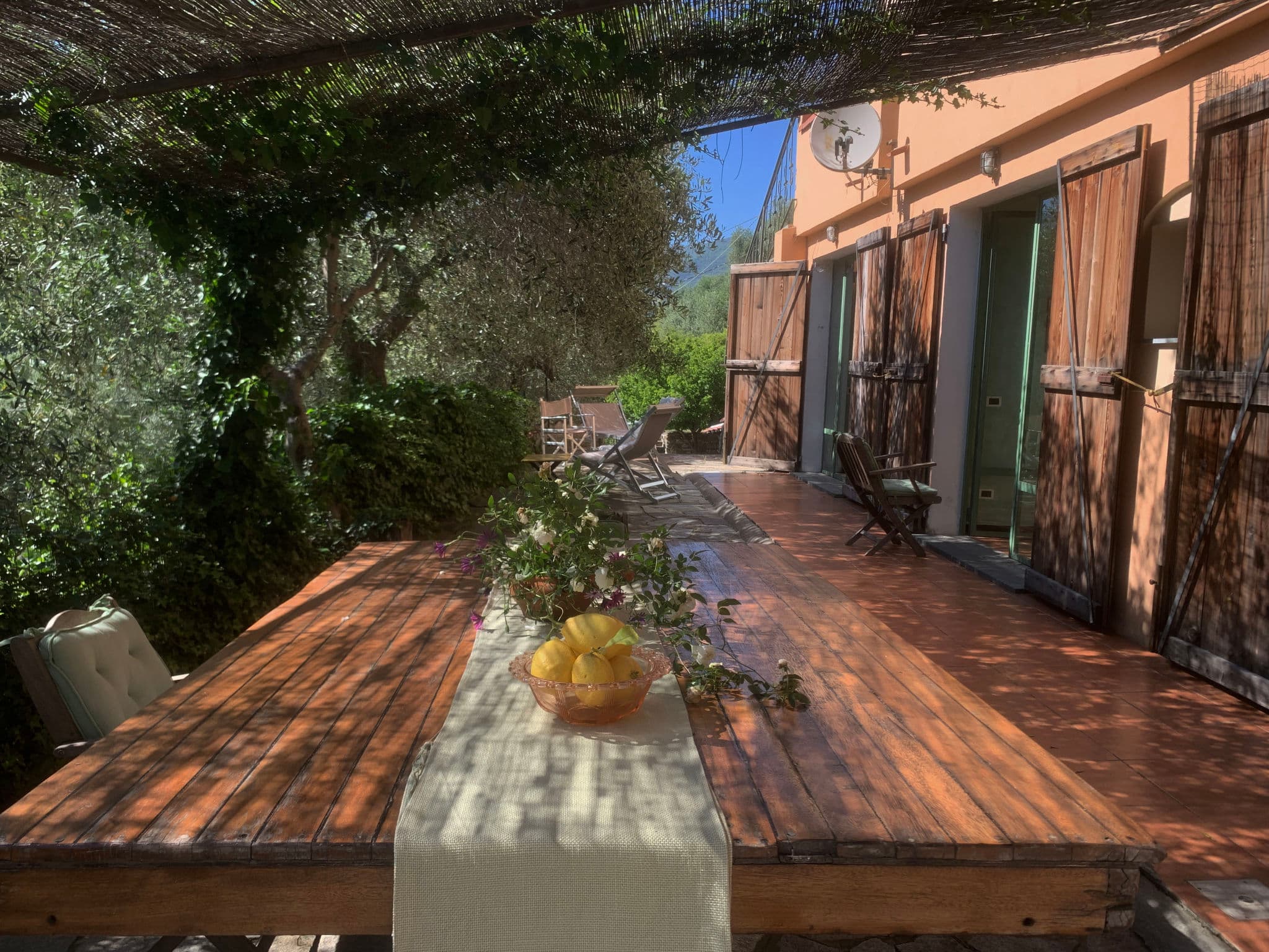 Terrace