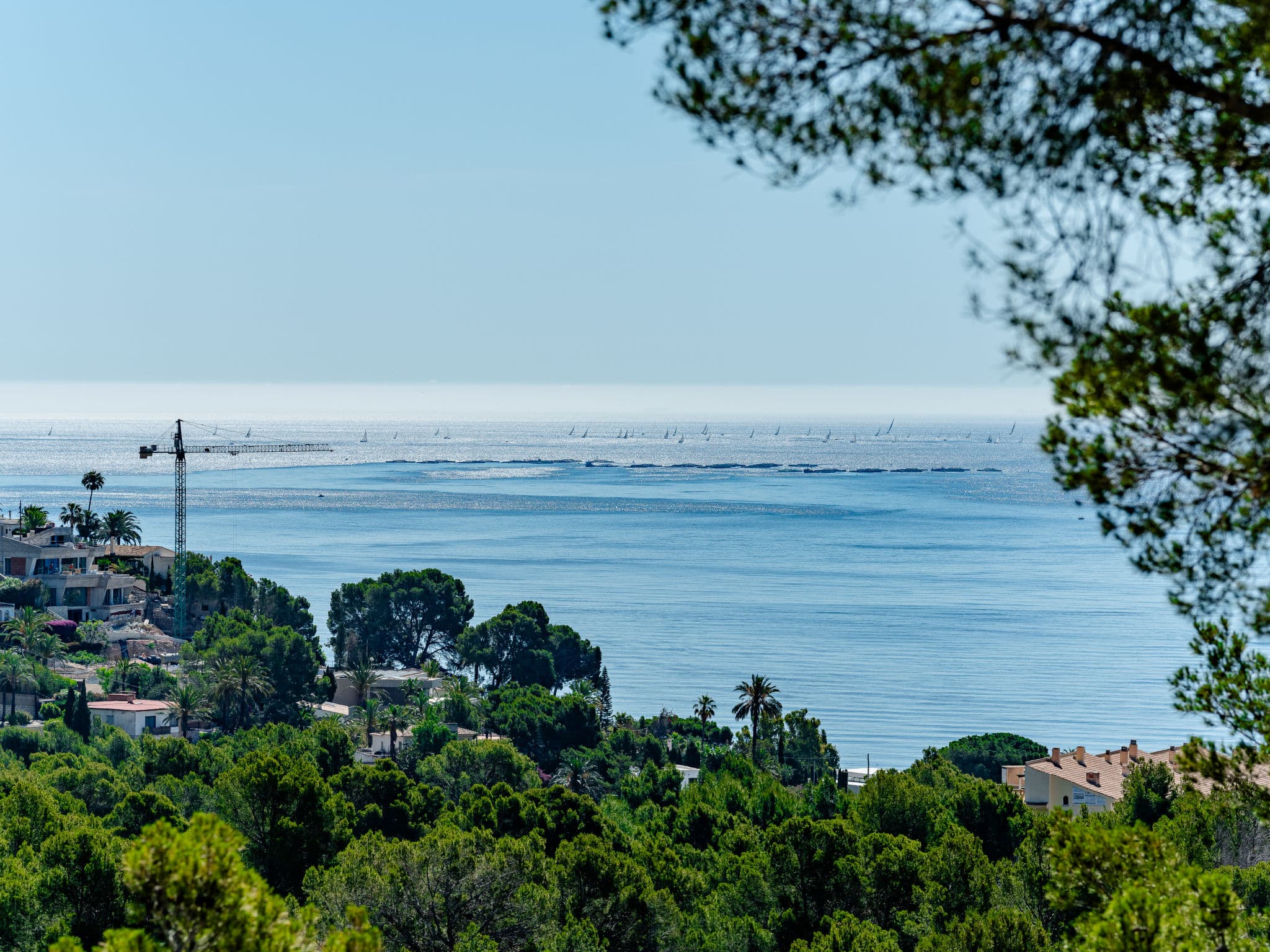 View