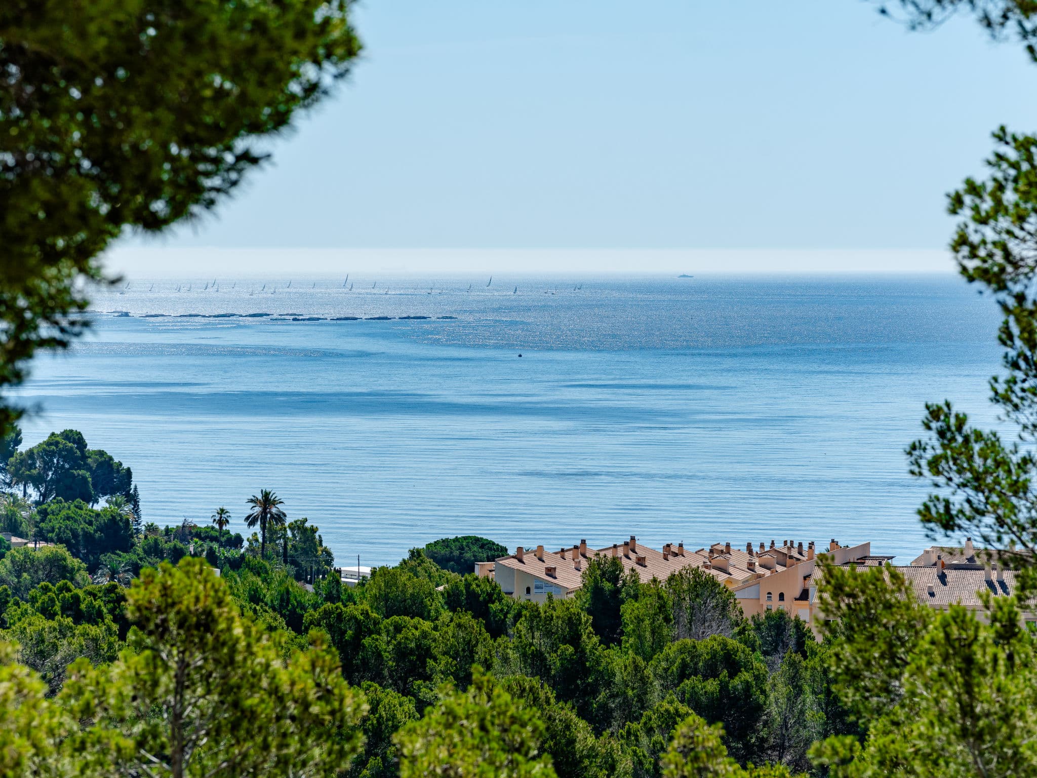 View