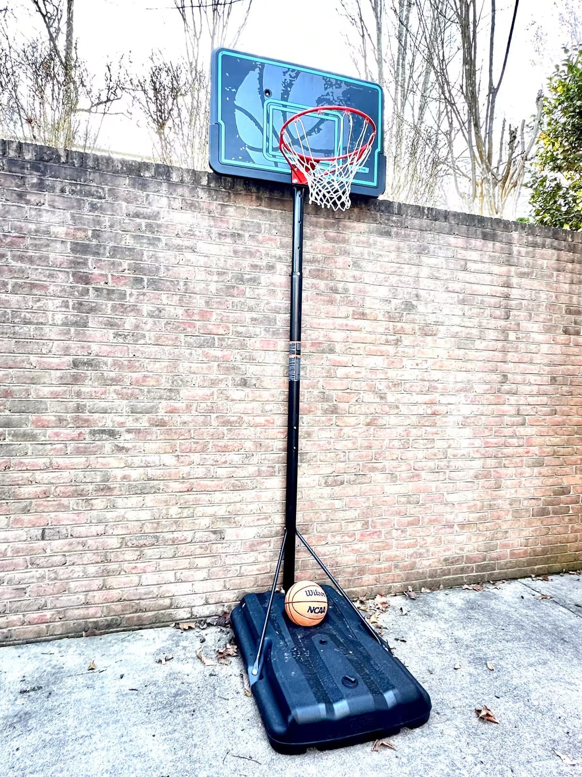 Wilson basketball hoop on the side patio — pickup games any time.

 basketball hoop, portable hoop, Wilson basketball, family activities, kid friendly, sports amenities, outdoor games, Smith Mountain Lake rental.