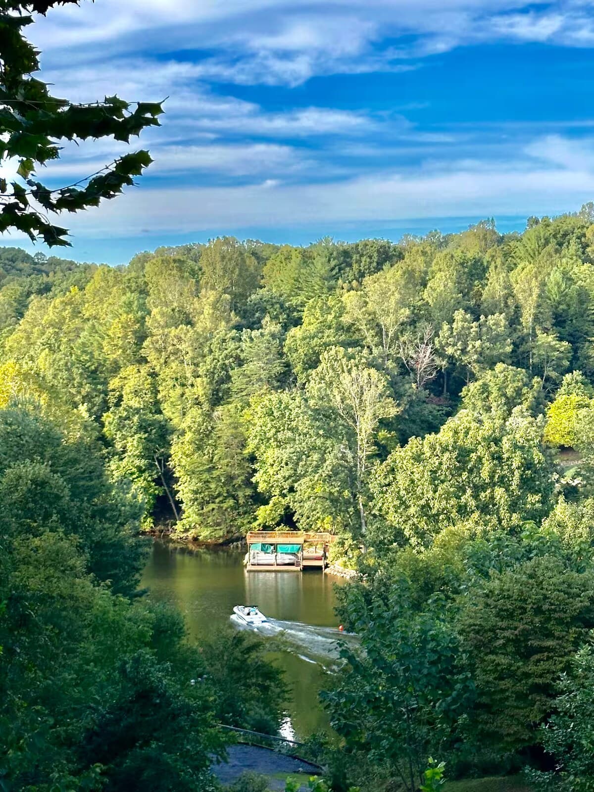 Tucked-away peaceful cove — your private drive dead-ends at the dock.

secluded dock, peaceful cove, private drive, quiet location, boating, Smith Mountain Lake, SML cove, retreat, privacy.