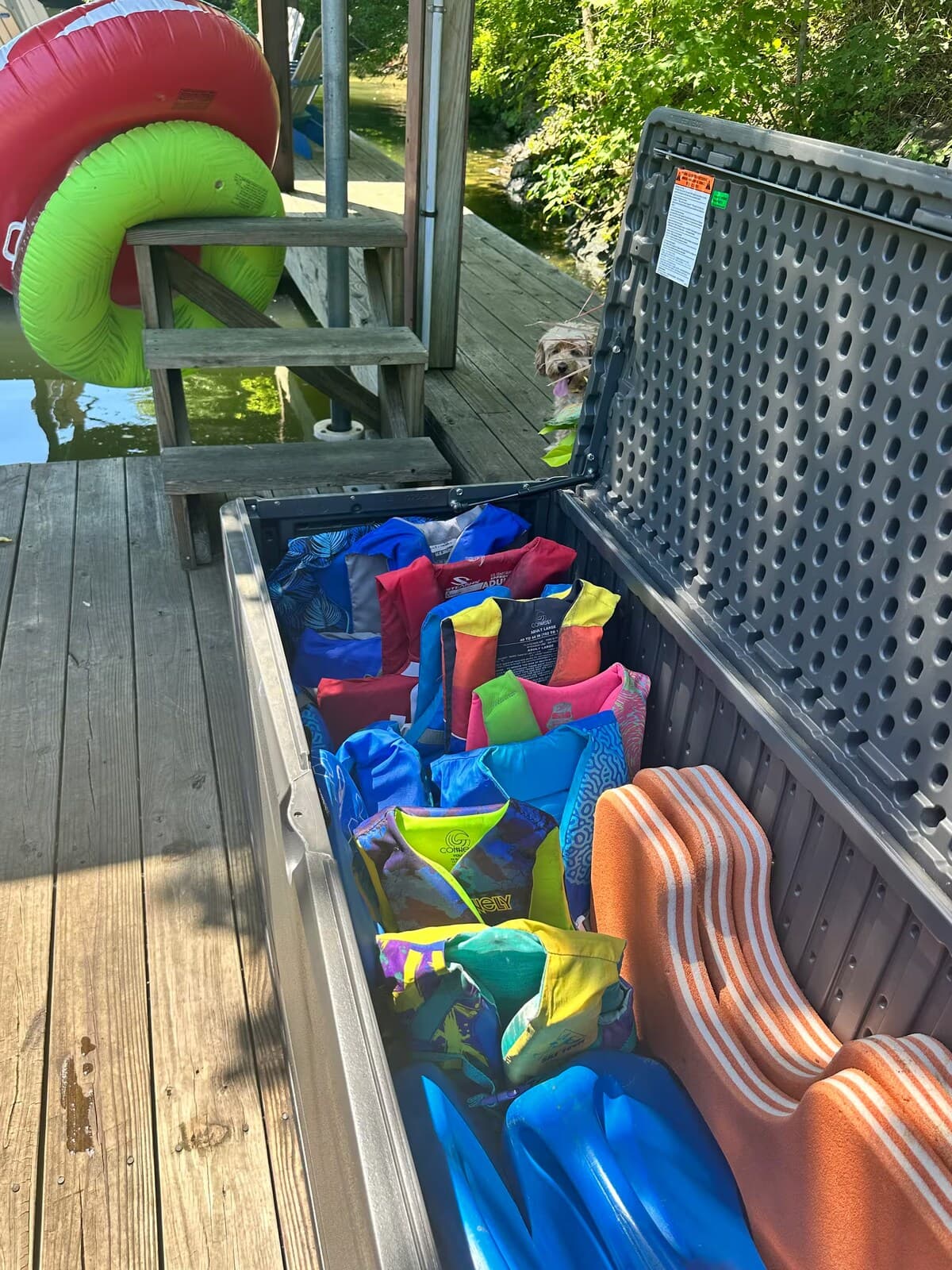 Life vests for all ages — plus pool floats, stocked and ready.

 life vests all ages, pool floats, floating tubes, kid-safe, family-friendly, peaceful cove, deep crystal-clear water, private dock, Smith Mountain Lake.