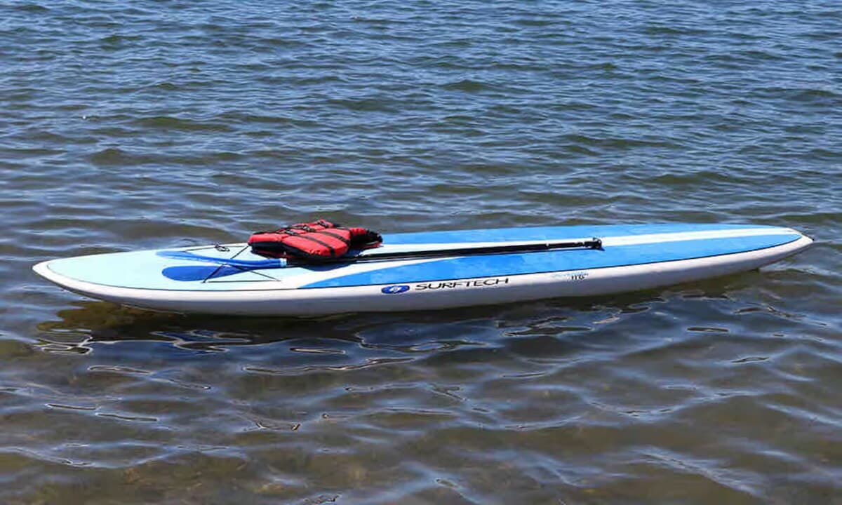 Paddleboard + life vest on the water — included with the house.

paddleboard, SUP, Surftech, included watercraft, life vest provided, deep crystal-clear water, private dock, Smith Mountain Lake, quiet cove.
