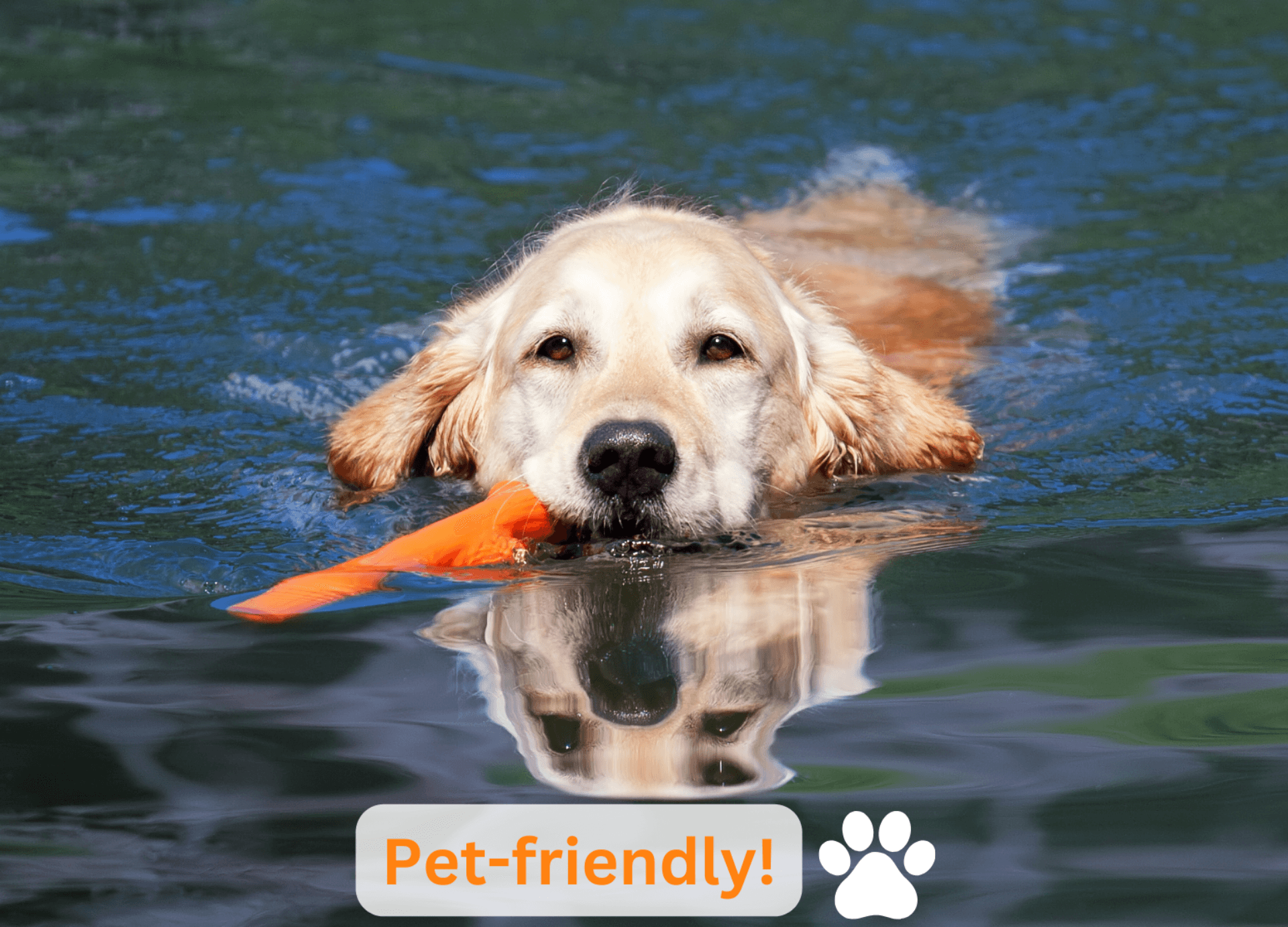 Pets welcome!