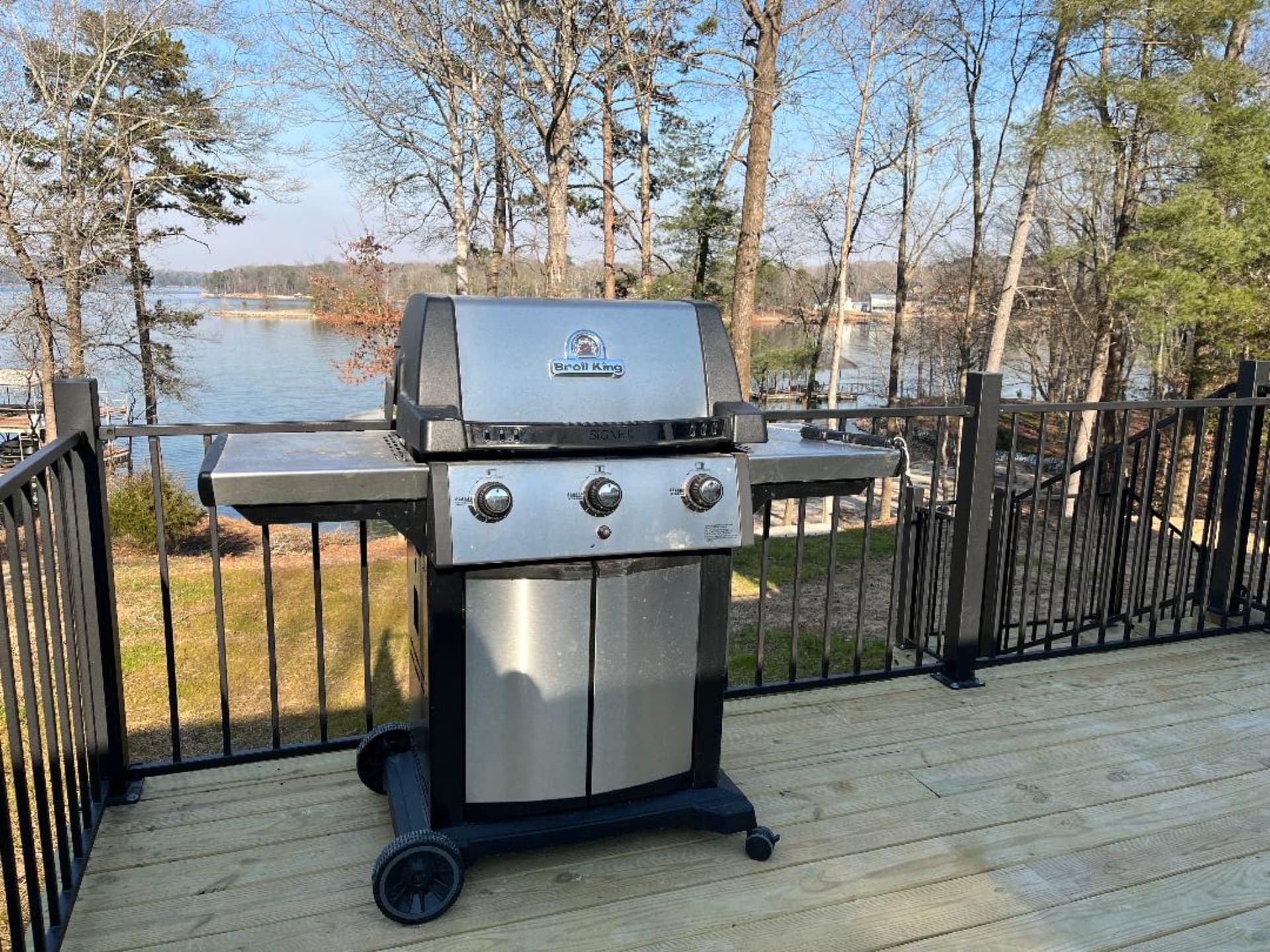 Propane grill