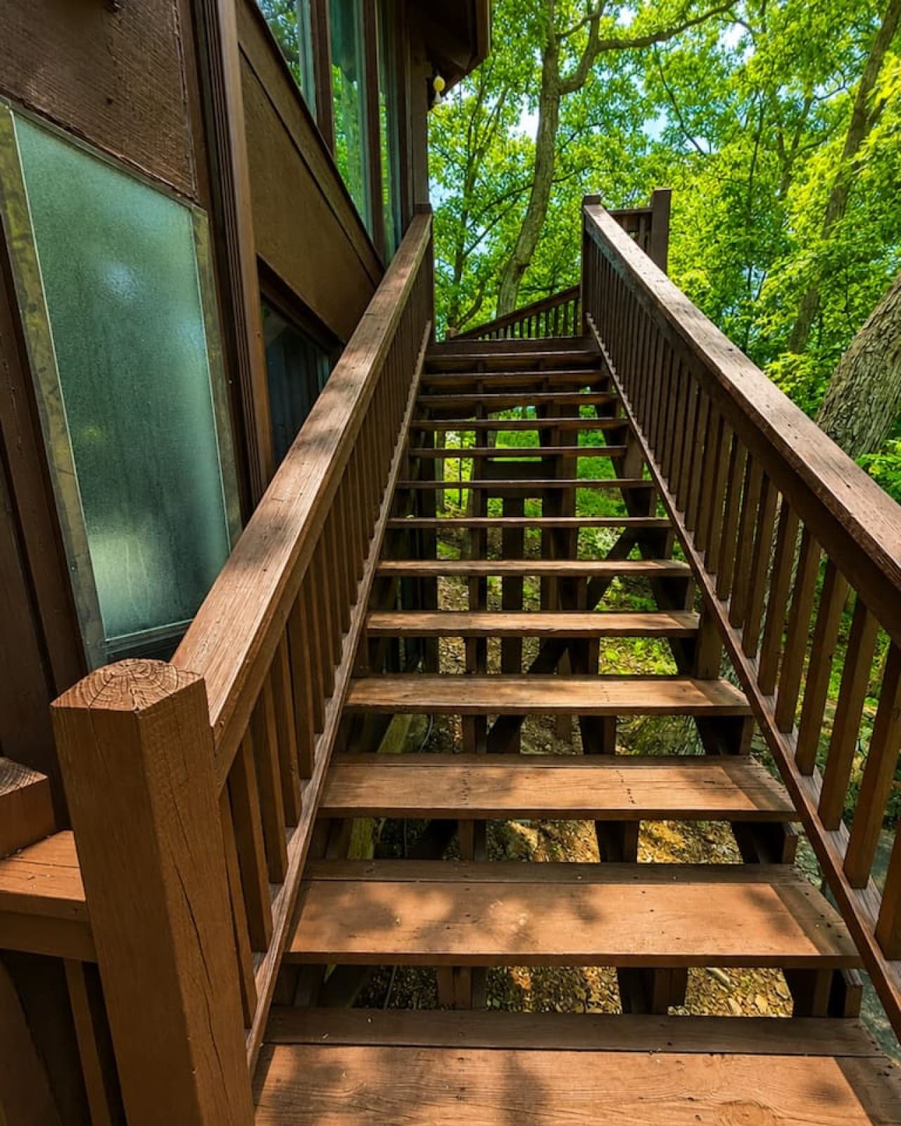 Gallery Image 9