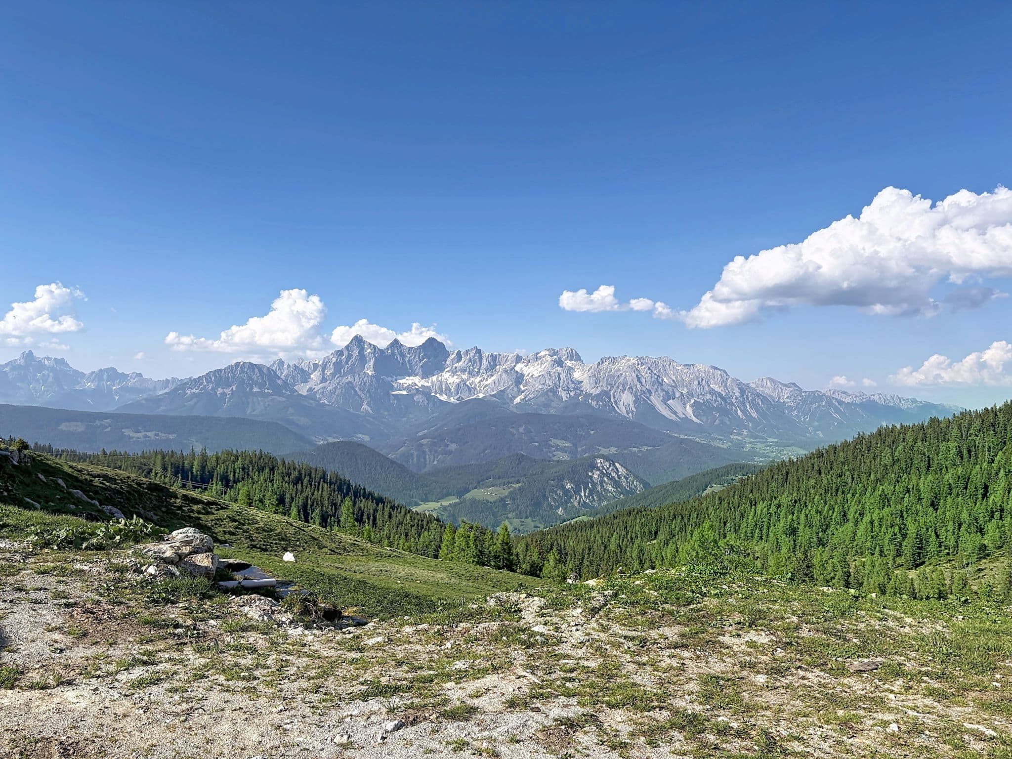 View