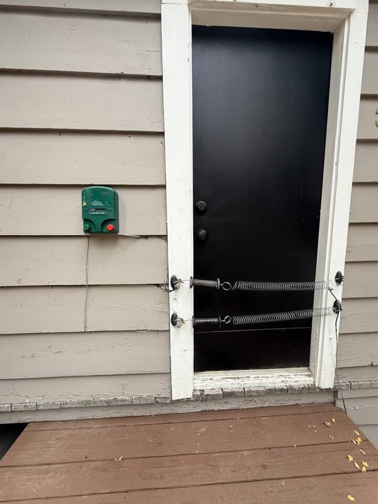 Wildlife alert? No worries—our bear guard has you covered.
