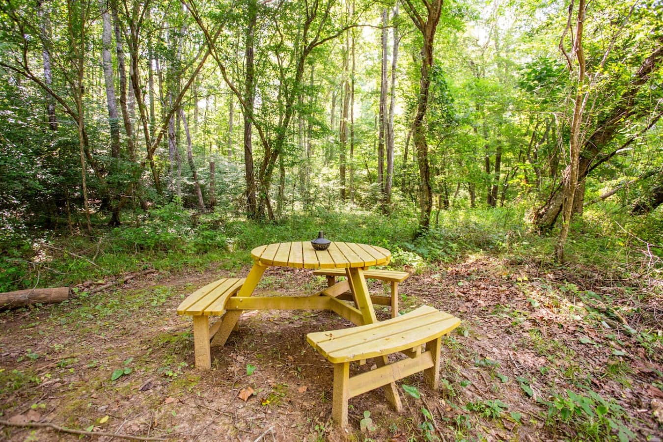 Where picnic memories and nature’s beauty come together.