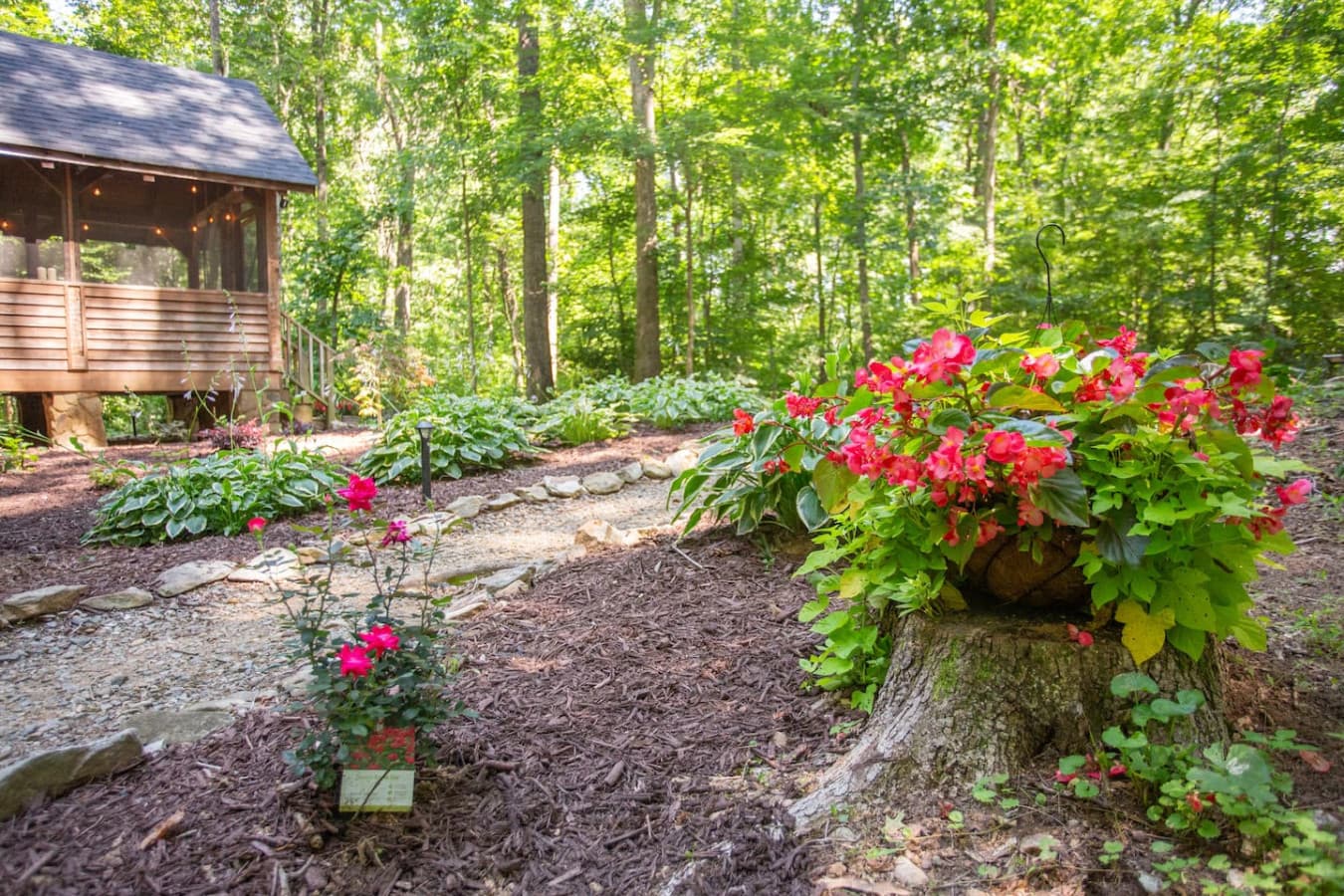 Flowers in full bloom, adding a splash of beauty to your cabin retreat.