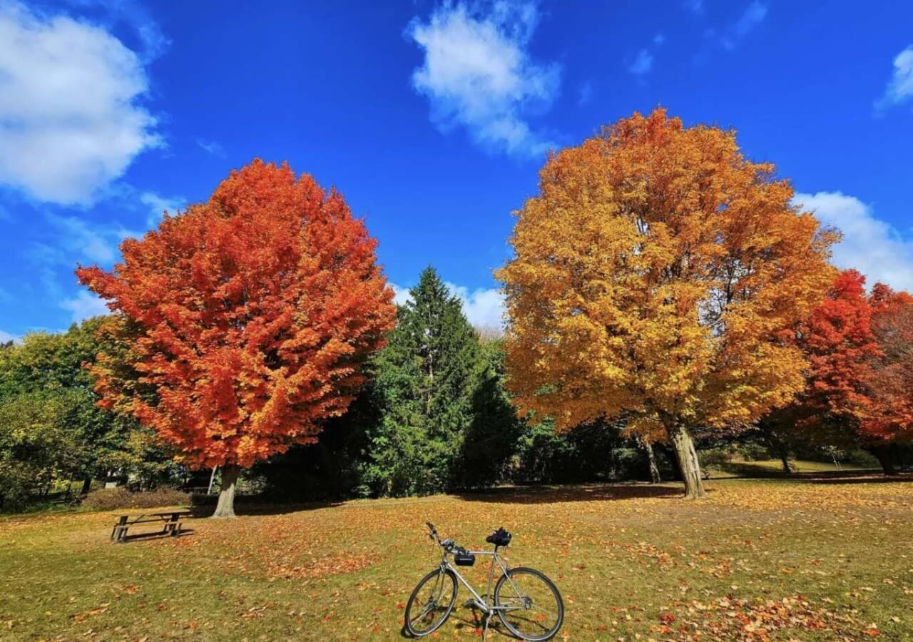 Just 8 minutes away, Springbank Park offers scenic walking trails, beautiful gardens, and peaceful spots to relax. A perfect destination for a stroll or a picnic!