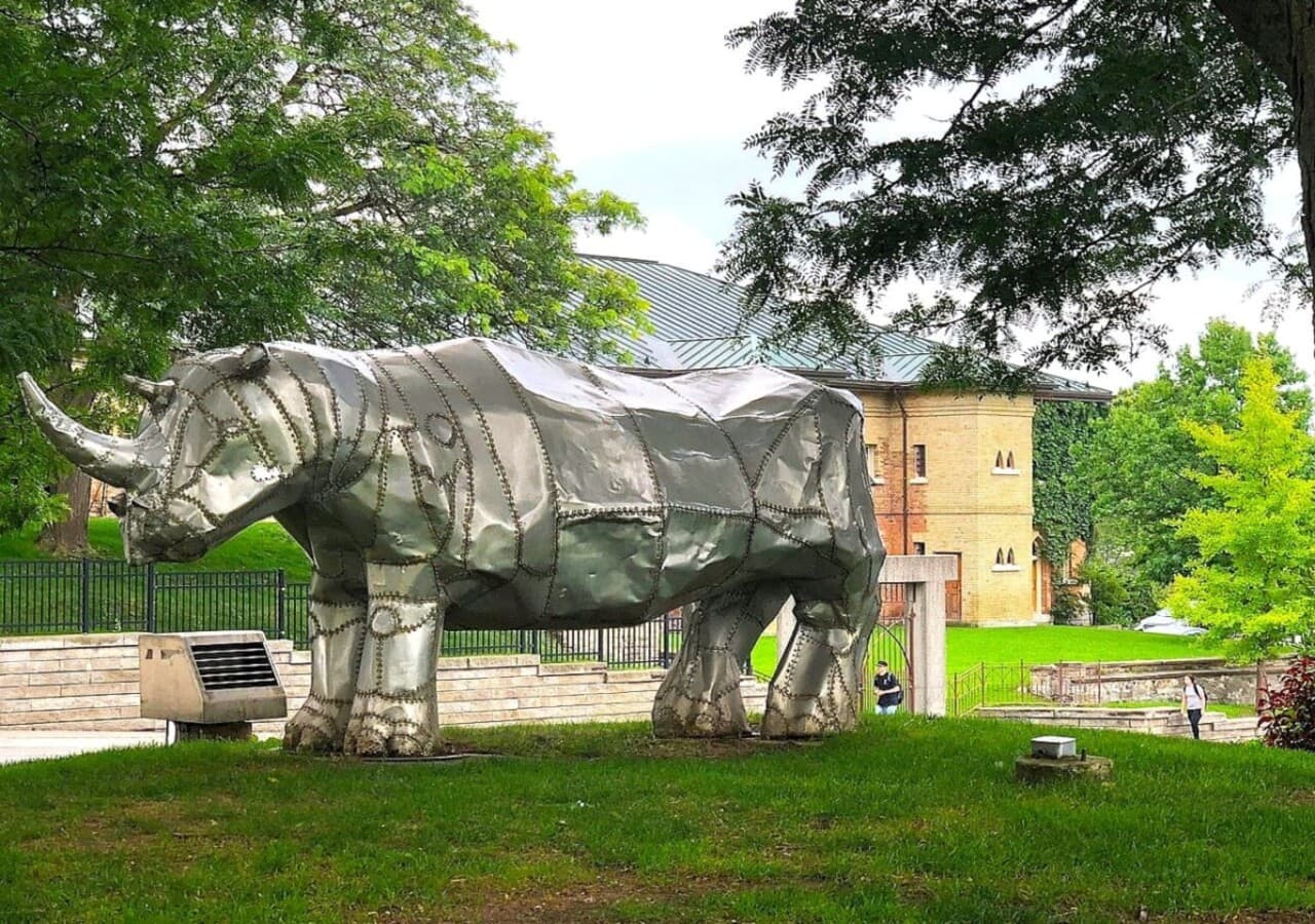 Admire the striking White Rhino sculpture by Tom Benner at Museum London, just 8 minutes away from your stay. A must-see for art lovers!