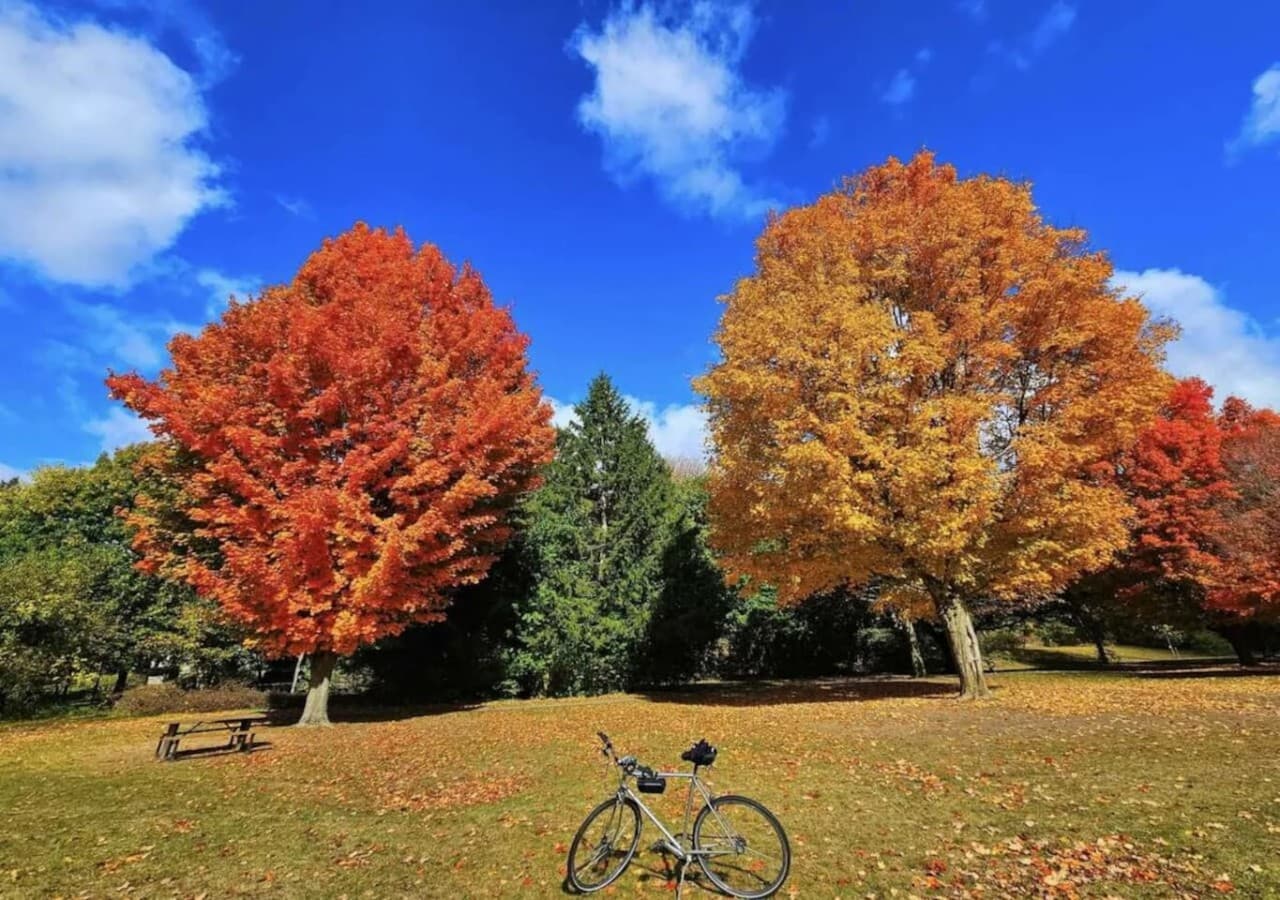 Just 8 minutes away, Springbank Park offers scenic walking trails, beautiful gardens, and peaceful spots to relax. A perfect destination for a stroll or a picnic!