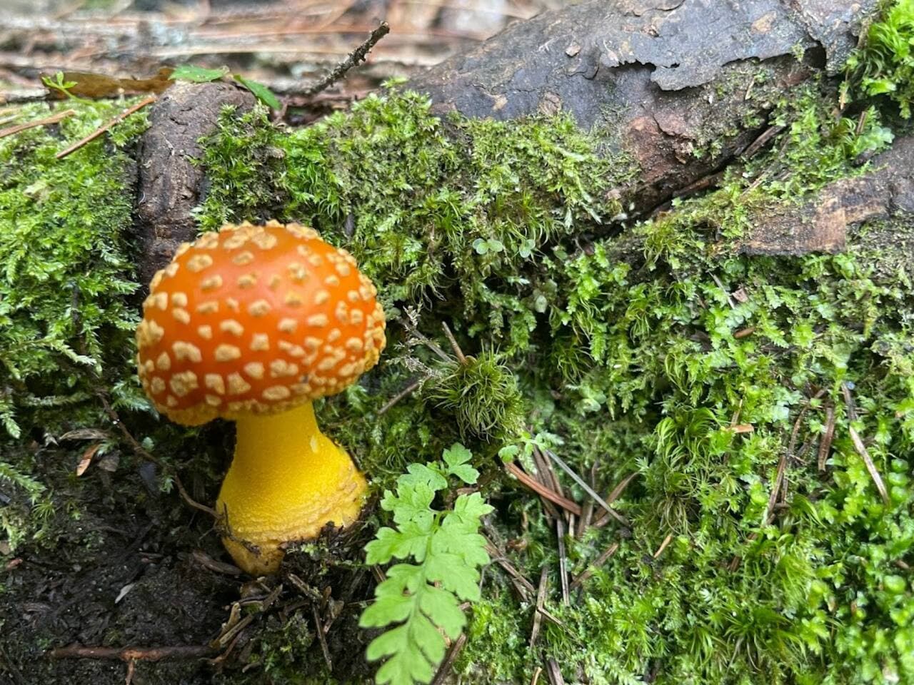 Nature’s beauty is all around you here. Time to breathe and reconnect!