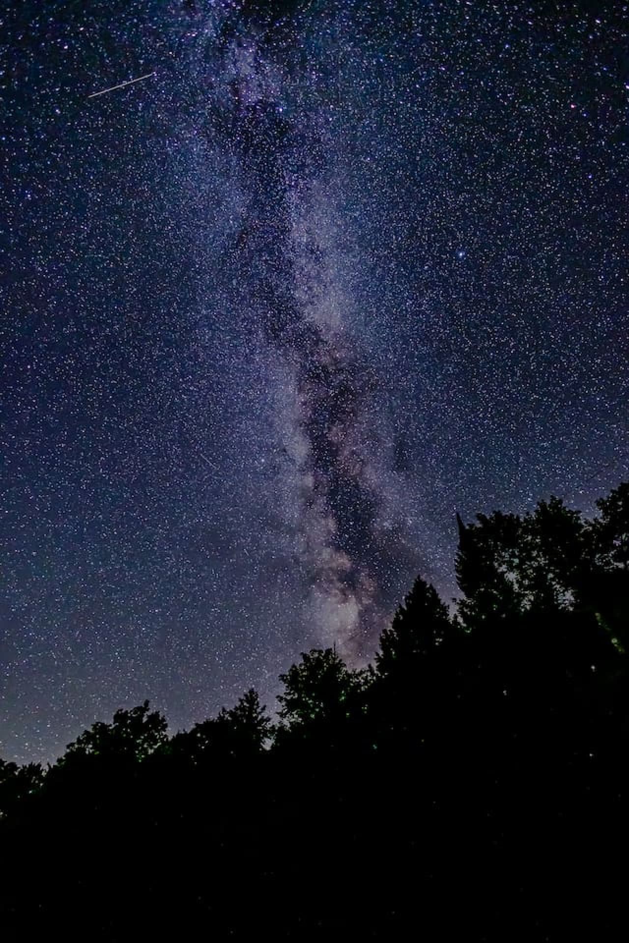 Night sky lit up with a stunning display of stars.