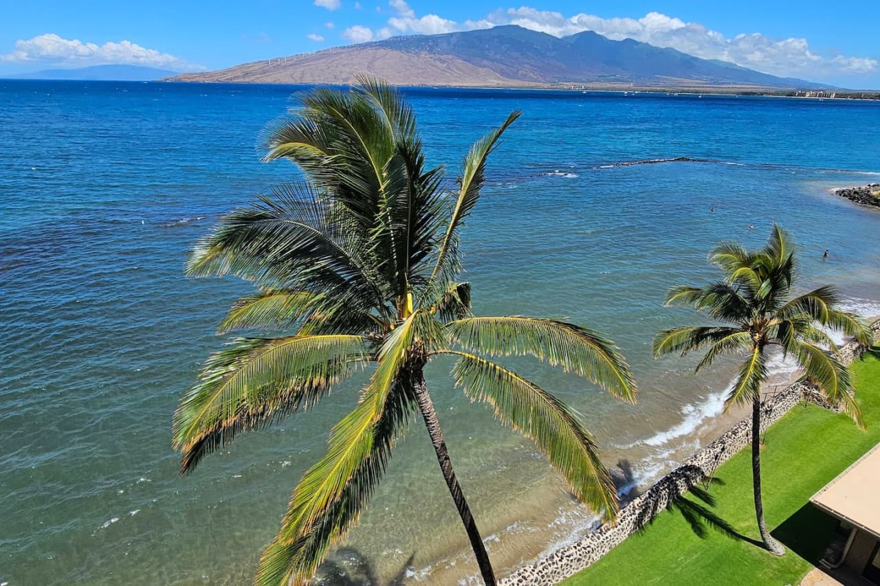 A bird's-eye view of paradise—where the ocean meets the palms.