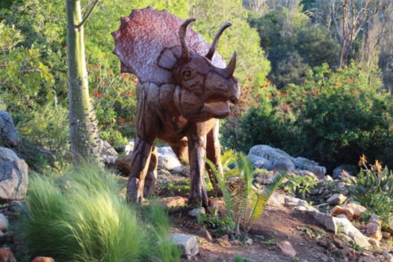 10 minutes to Alta Vista Botanical Gardens—a place where flowers whisper, trees hum, and the soul finds peace.