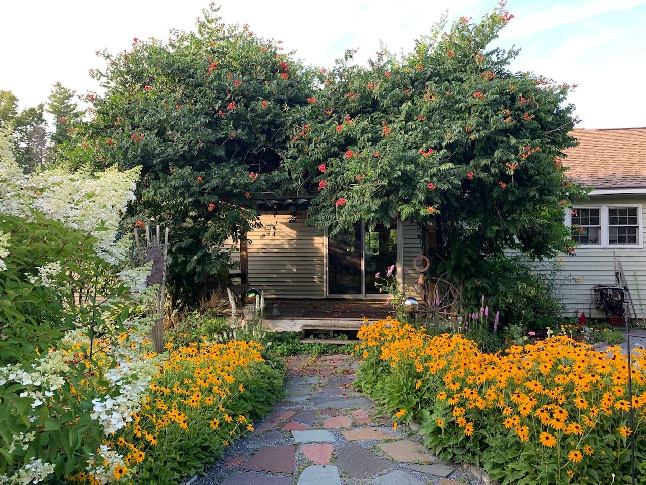 Where nature sets the mood.