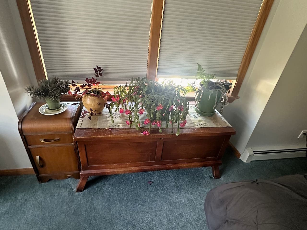 A peaceful sanctuary after a day of exploring.