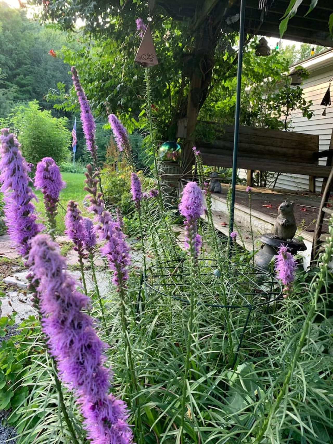 Sunshine and garden views all day long.