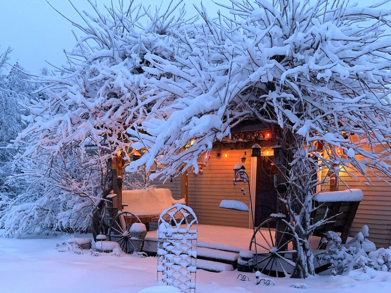 Cozy season is calling.