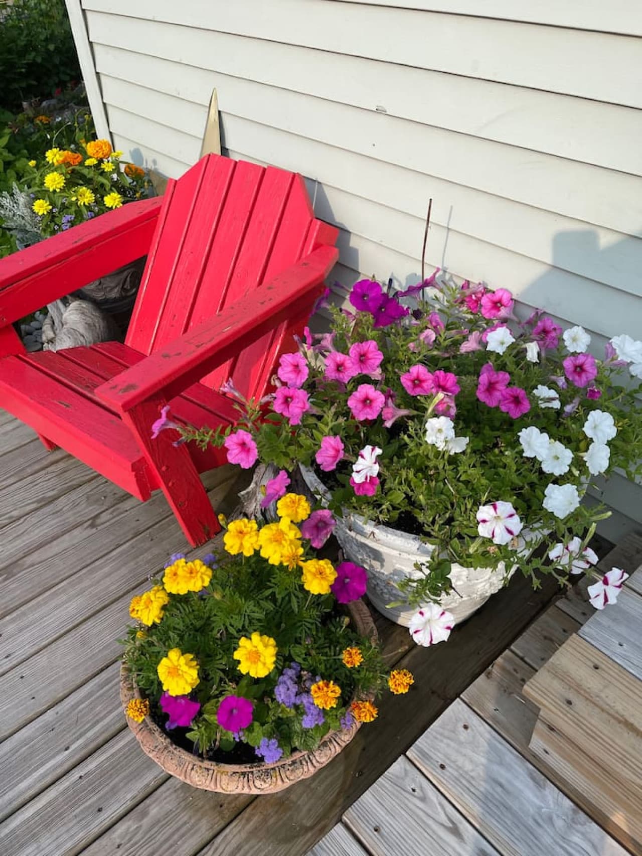 Flower bloom all over the home.