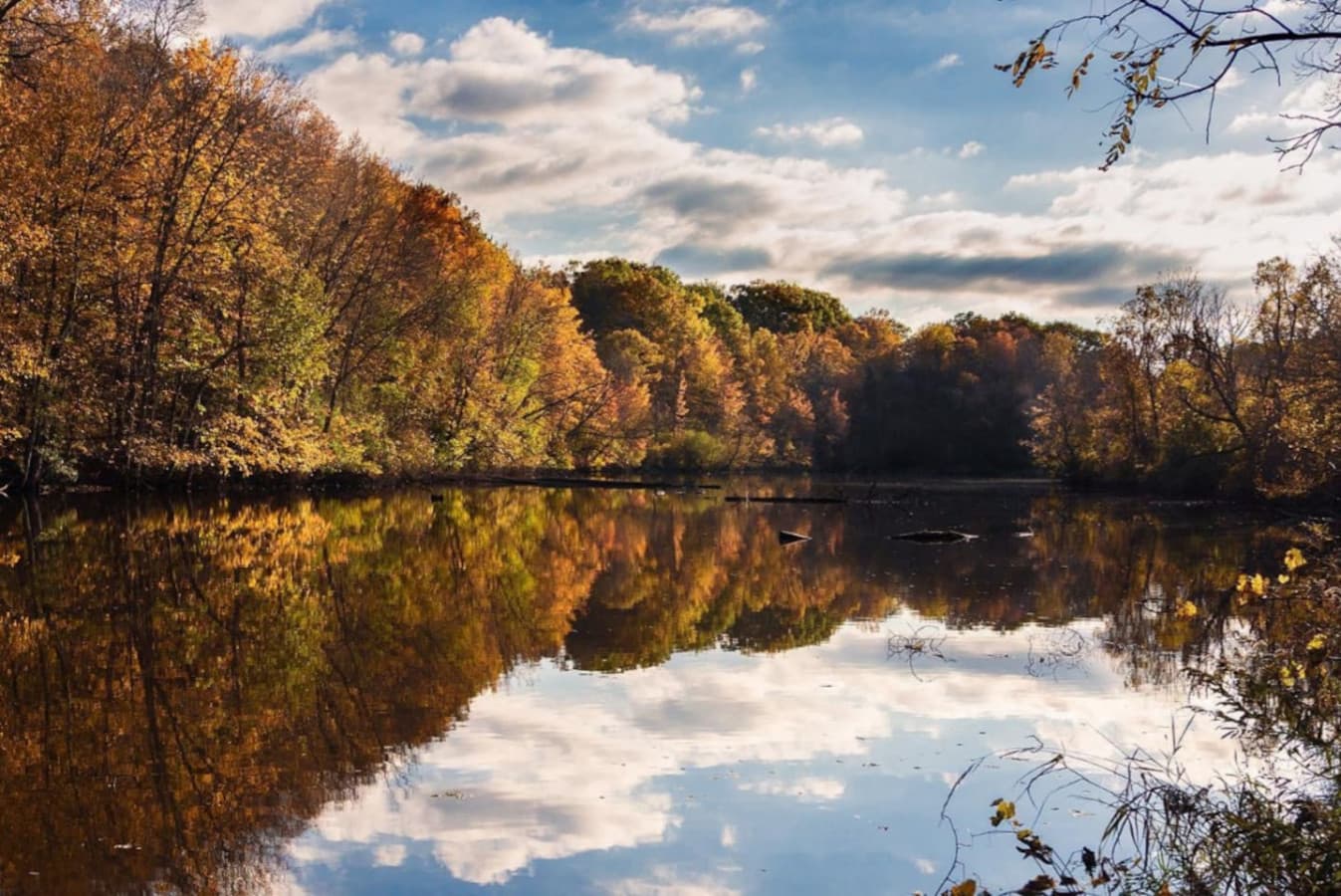 Enjoy peaceful views and the natural beauty of this scenic oasis at Coves Lake.