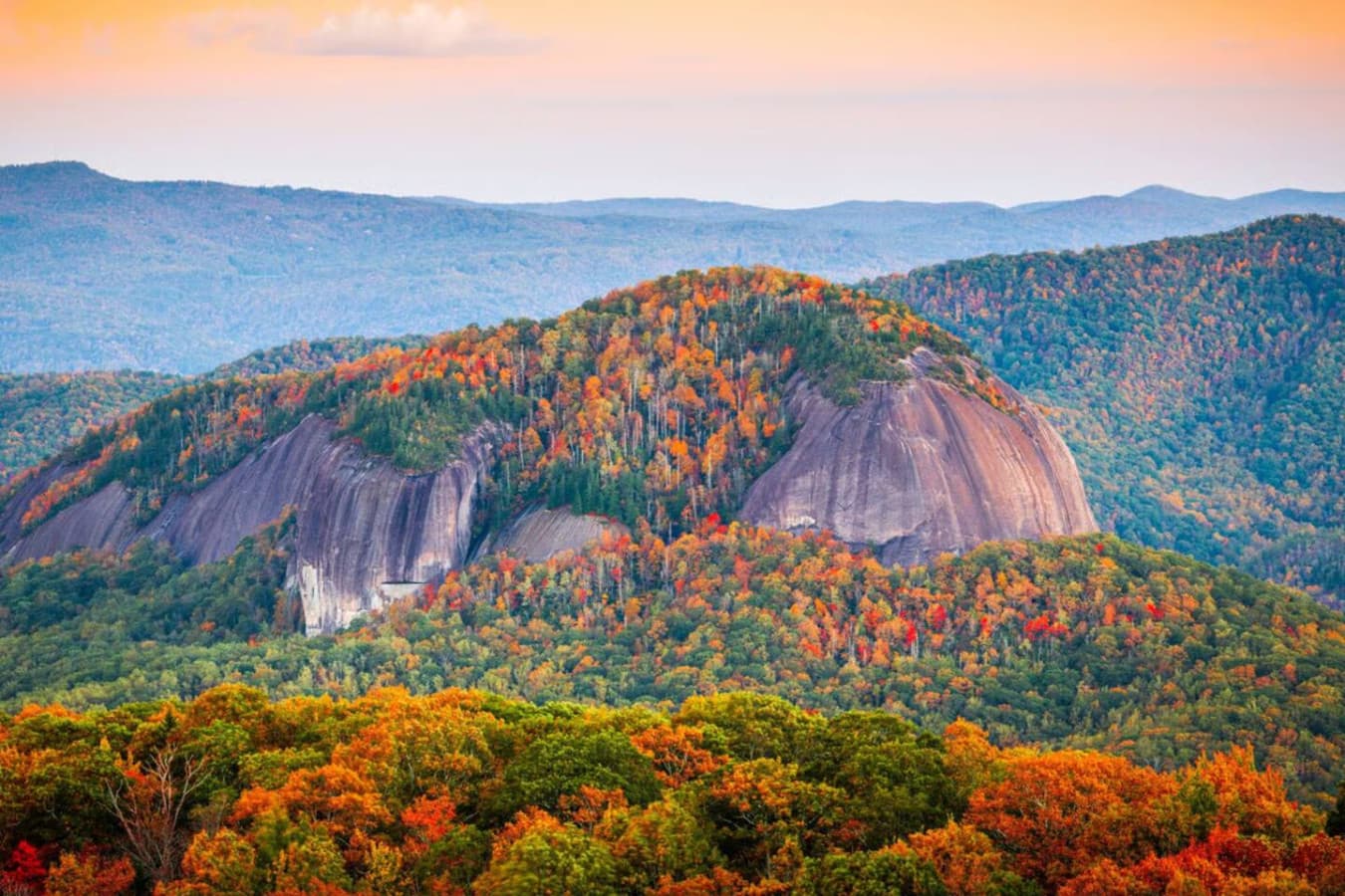 Reach the forest in less than 10 minutes minutes, lose yourself in Pisgah’s trails for hours.