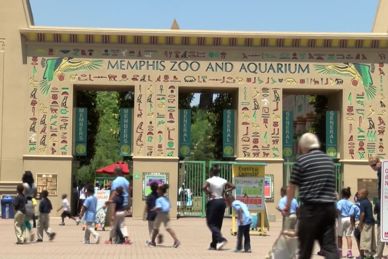 Home to more than 3,500 animals representing over 500 different species, the Memphis Zoo and Aquarium is a must-see