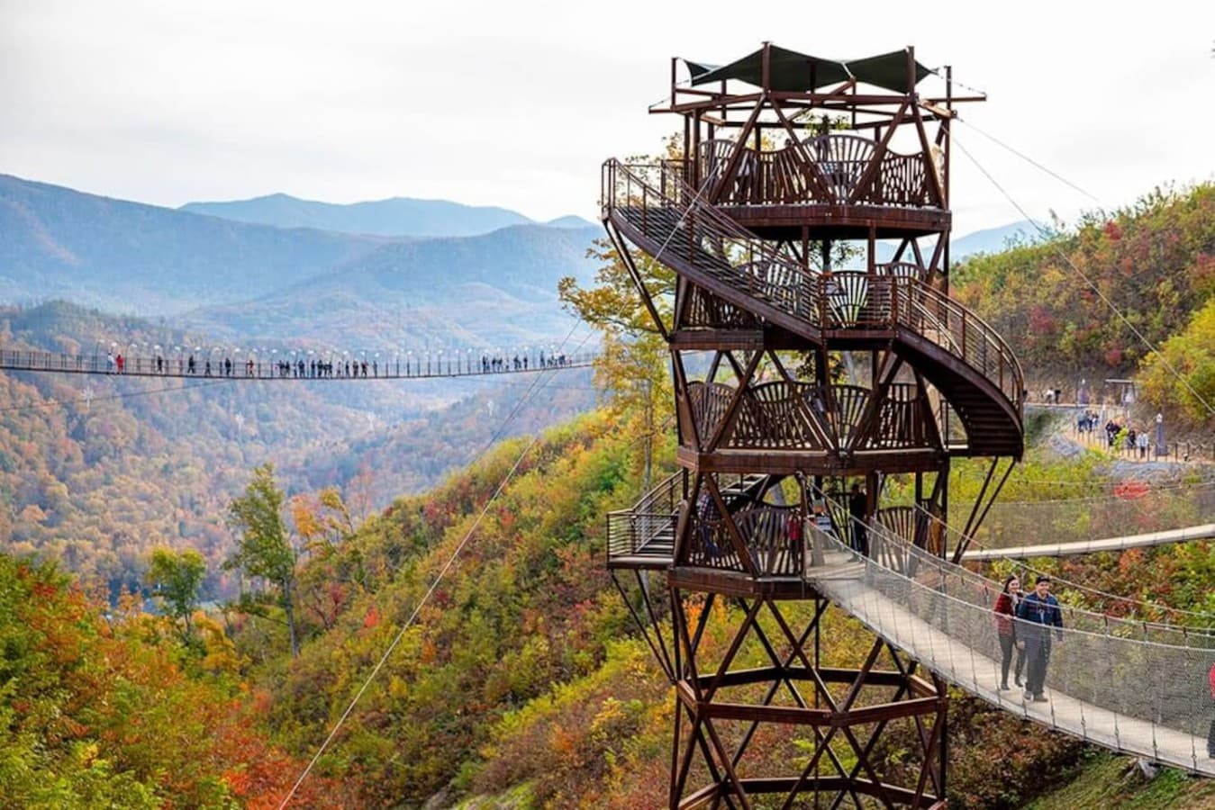 A View to Remember – Take a short 25-minute drive to The Tulip Tower, where panoramic views of the Smokies await you from the top.