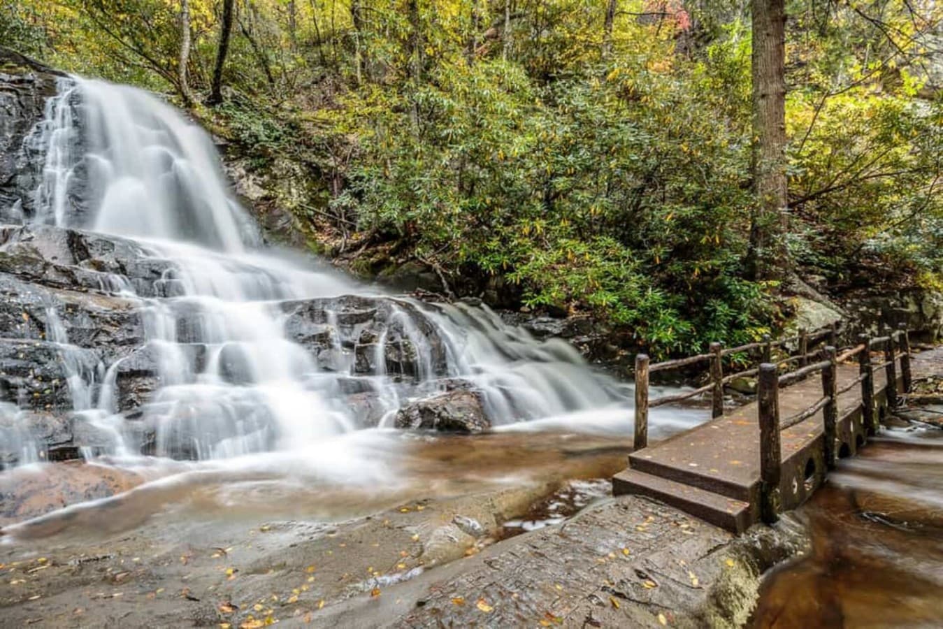 Waterfall Wonderland – Laurel Falls is a beautiful 30-minute drive away, but you’ll need to earn the view with a short hike. Totally worth it!