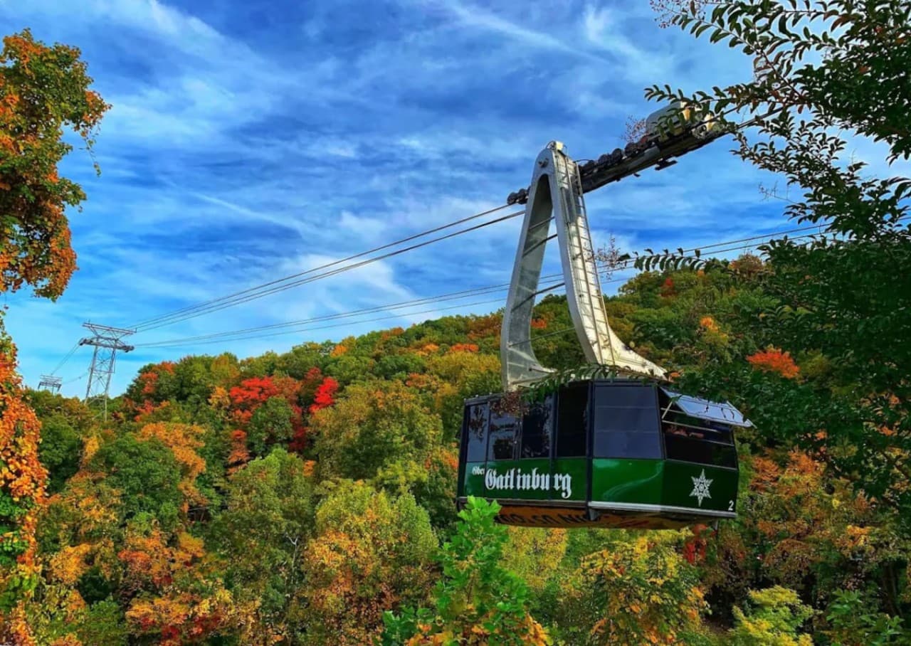 Elevate Your View – Take a scenic tram ride up Ober Mountain and experience panoramic vistas of the surrounding mountains. It’s just a 20 minute drive away and offers a memorable adventure.